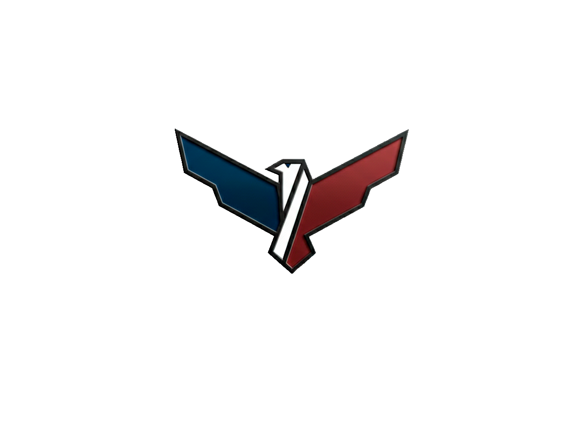 VOGEL-K Logo